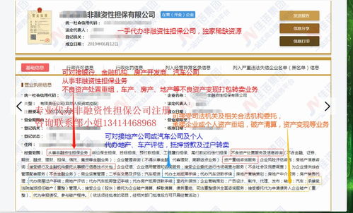 獨家渠道代辦非融資性擔保公司 專業金融信息咨詢服務指南